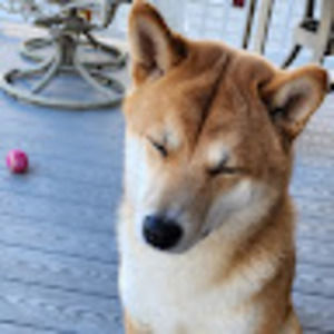 Meet your Posher, Jay